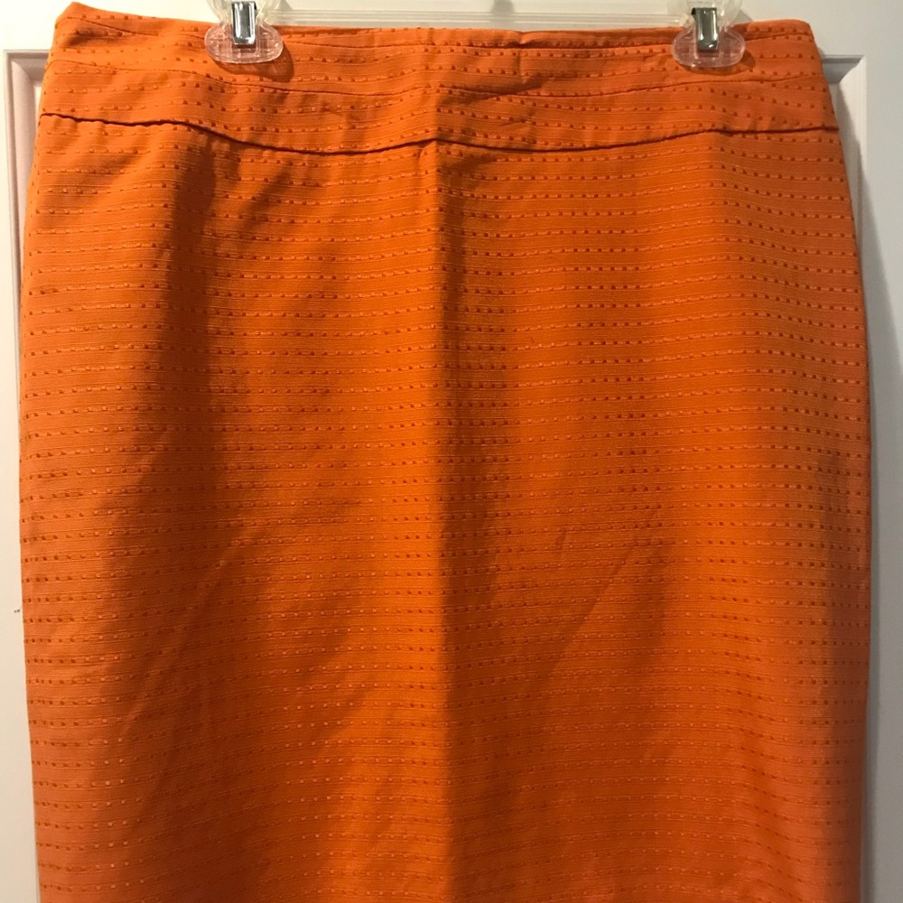 The Limited skirt